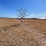 東京23区内で撮影された｢写真｣に絶句…「アフリカと思った」「ナミブ砂漠に似ている」　実は、人気施設も写りこんでいた？