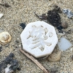 砂浜に落ちていたチャンギの駒。八角形で文字が刻まれている／Dennyさん（@De2_trash_rush）提供＝画像をトリミングしています