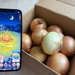 アプリで育てた農作物の本物が無料で届く（画像提供：カウシェ）