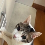 20歳には見えない毛ヅヤの良さにビックリ！