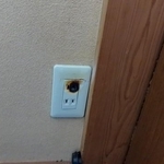 実家のコンセントが…（只野檸檬さん提供）