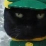 これこそ、本当のクロネコヤマト！？＝画像をトリミングしています