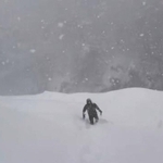 深い雪の中を進んで行きます（動画よりキャプチャ、画像提供：田中一馬 但馬牛農家の精肉店・田中畜産さん）