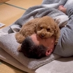 パパの顔面を枕にする犬さん「苦しくないですか？」「大好きなんですね」父が溺愛にいたるまで