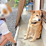 パパにはデレデレ、娘には壁に頭を押しつけ完全拒否！？ 露骨すぎる態度の差に「顔に出すぎ」「わかりやすすぎる」と爆笑続出