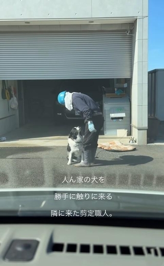 犬は“人を選ぶ”？(すぅちゃんの飼い主さん提供、Instagramよりキャプチャ撮影)