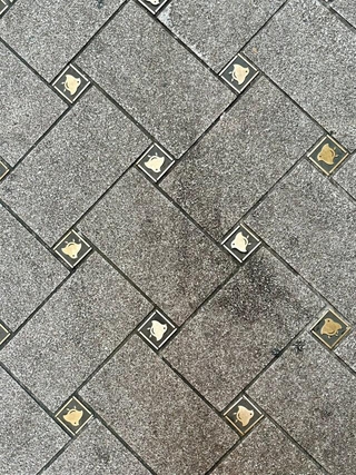 足元にひっそり散りばめられた千鳥の意匠／mayumama（@ma_yumama）さん提供