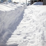 「天然の自転車が顔を出してきました」青森駅前で見つけた“春の息吹”　驚愕光景に「下に何あるかわからないんですねー」