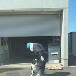 犬は“人を選ぶ”？(すぅちゃんの飼い主さん提供、Instagramよりキャプチャ撮影)