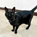 御年23歳　人間なら108歳の「ぴっぴ」（画像：三協精器工業）