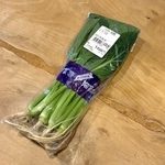 半年前JAで買った小松菜（「ぽたろうの家庭菜園HACK」さん提供）