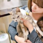 道路脇で倒れていた子猫「まだ生きている！」事故で左目を失い、安楽死の提案を乗り越え7年　SNSが繋いだ奇跡の“再会”に感動の声広がる