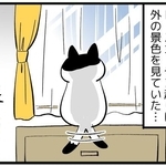 【漫画】良かれと思ってやったのに…猫の謎行動に振り回されるニンゲンたち　カーテン開けたら不満げ、空気清浄機の上に乗る…
