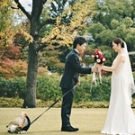 新郎新婦の背後で芝生堪能する豆柴「最高すぎる」「一生の思い出」「こういうのが良い！」