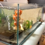 ぎゅうぎゅう（画像提供：鼓太郎さん）