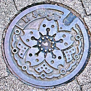 ochichanさん撮影。桜の花をモチーフにした東京都の下水道マンホールのフタ（画像提供：ochichanさん）
