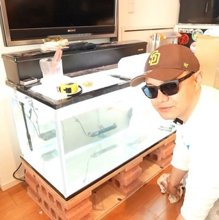 嫁に黙って購入したものとは…／リックさん（@aquarium_rick_agguy）提供＝画像を一部トリミングしています