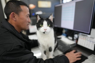 牧野さんの奥さんが最初に出会った最年長のレオ（オス、１３歳）。社員さんの仕事の邪魔をしながら！？見守る