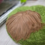 ウィッグにしか見えないこちらの正体は…！？／はるこっこさん（@inin87c）提供