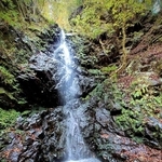 「なにこれ怖い」谷底に並んでいた、謎の“白い球体”　「かっぱやね…」「蛇やない？」お供え物説も