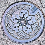 ochichanさん撮影。桜の花をモチーフにした東京都の下水道マンホールのフタ（画像提供：ochichanさん）