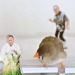 「食べようとしてるね細川たかしを」 キンカチョウがアクスタをサラダ菜と勘違い！？ 大反響の動画に「公式」も反応