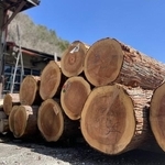 さわたく工房のサイトから