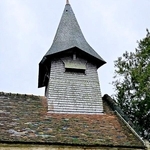 30年越しに渡仏、夢を叶えた染色作家「やると決めると現実が動き始める」無理だと思っていたが…過去の自分に「ありがとう」