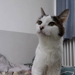 2026年3月3日に20歳の誕生日を迎えた、しーちゃん