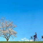 2026年4月～自転車の青切符導入※画像はイメージです（chikala/stock.adobe.com）