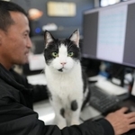 苦境に陥った会社を救ってくれたのは生後2カ月の保護猫だった！社員全員で猫10匹を世話　大分の「猫がいる浄化槽の会社」