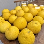 大人買い！（なみそさん提供）