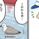 【漫画】『かもめを拾った話』より（タニシさん提供）