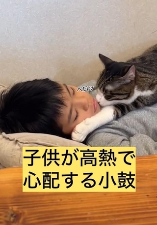 心配そうに息子さんの顔をなめたりして、離れようとしなかった（「小判つる姫あさひ」さん提供、Instagramよりキャプチャ撮影）