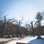 東京・井の頭公園のベンチにちょこん…雪の日限定で現れた“ムーミン”　あたたかくなる前に早めに谷へ…「毎年の恒例行事にしてほしい」
