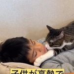 心配そうに息子さんの顔をなめたりして、離れようとしなかった（「小判つる姫あさひ」さん提供、Instagramよりキャプチャ撮影）