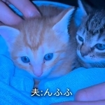 「もう猫は飼わない」と決めていたのに…命日の夜、21歳息子が連れてきた2匹の子猫に心揺れる「ちっちゃ～い」