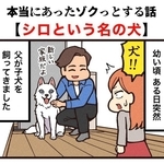 突然飼うことになった子犬のシロ（大友しゅうまさん提供）