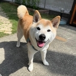 笑顔でママを出迎える福丸くん（画像提供：福丸さん）