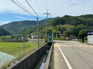 この風景、日本じゃなくて韓国のものなんです（ニシダさん提供）