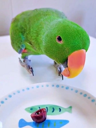 まずは「国産さくらんぼ」から。オオハナさんの表情に注目（画像提供：ゴンさん）
