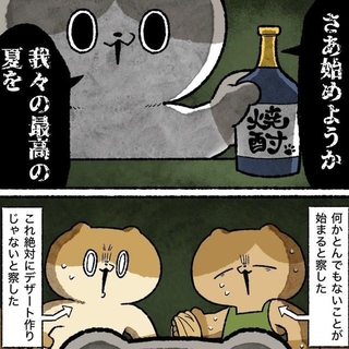 始まった夏（ゆう-ノープロブレムキャットさん提供）