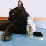 愛猫の黒猫のおひげも瓶に（猫社謹製提供）