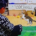 愛猫と息子、見事なキャッチボール　まさかの“へそ天キャッチ”に「最後のドヤ顔、超かわいい」「とっても良い良いコンビ」2万いいね反響