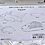 記憶を頼りに描かれた「アロワナ」がヒドイ　イグアナ、ティッシュ箱……だと？「とにかく…一度来てください」横浜・八景島シーパラダイスの電車広告