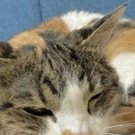 ちょっぴり眠そうな20歳のころのまるちゃん※画像はトリミングしています
