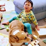 積み木で遊ぼうとしたらーーどーんと座り込んだどんちゃん（画像提供：むへむへさん）
