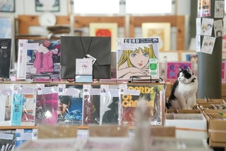 「思いがけない音楽との出会いが、人生を豊かにするにゃん」