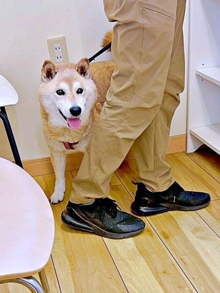 病院で診察の順番がきたぱんくん。名前を呼ばれるとーー（画像提供：Greenさん）
