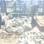 DIY素人の60歳女性が庭の巨石を自ら割って作り上げたハーブ園　製作工程の動画が14万回再生　「旦那さんではなく奥さんだなんて驚き」